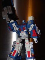 SAM_0295.jpg