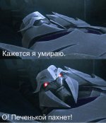 мегз.jpeg