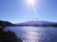 IMG_20151128_045040.jpg