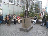 IMG_20160312_064238.jpg