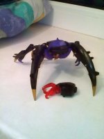 IMG_20170524_130521_413.jpg